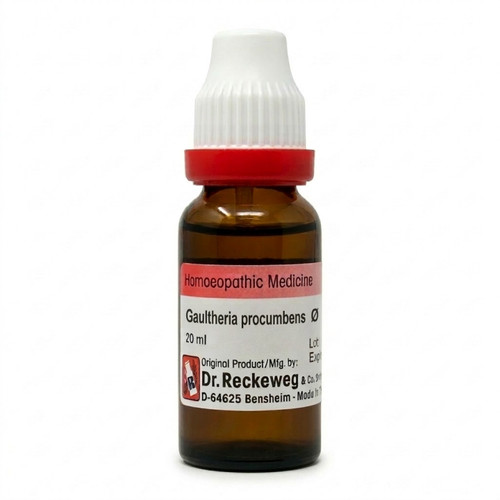 Reckeweg gaultheria proc - gaultheria, q